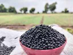 Bentonite Black Ball Granules - Industrial Grade Manufacturing